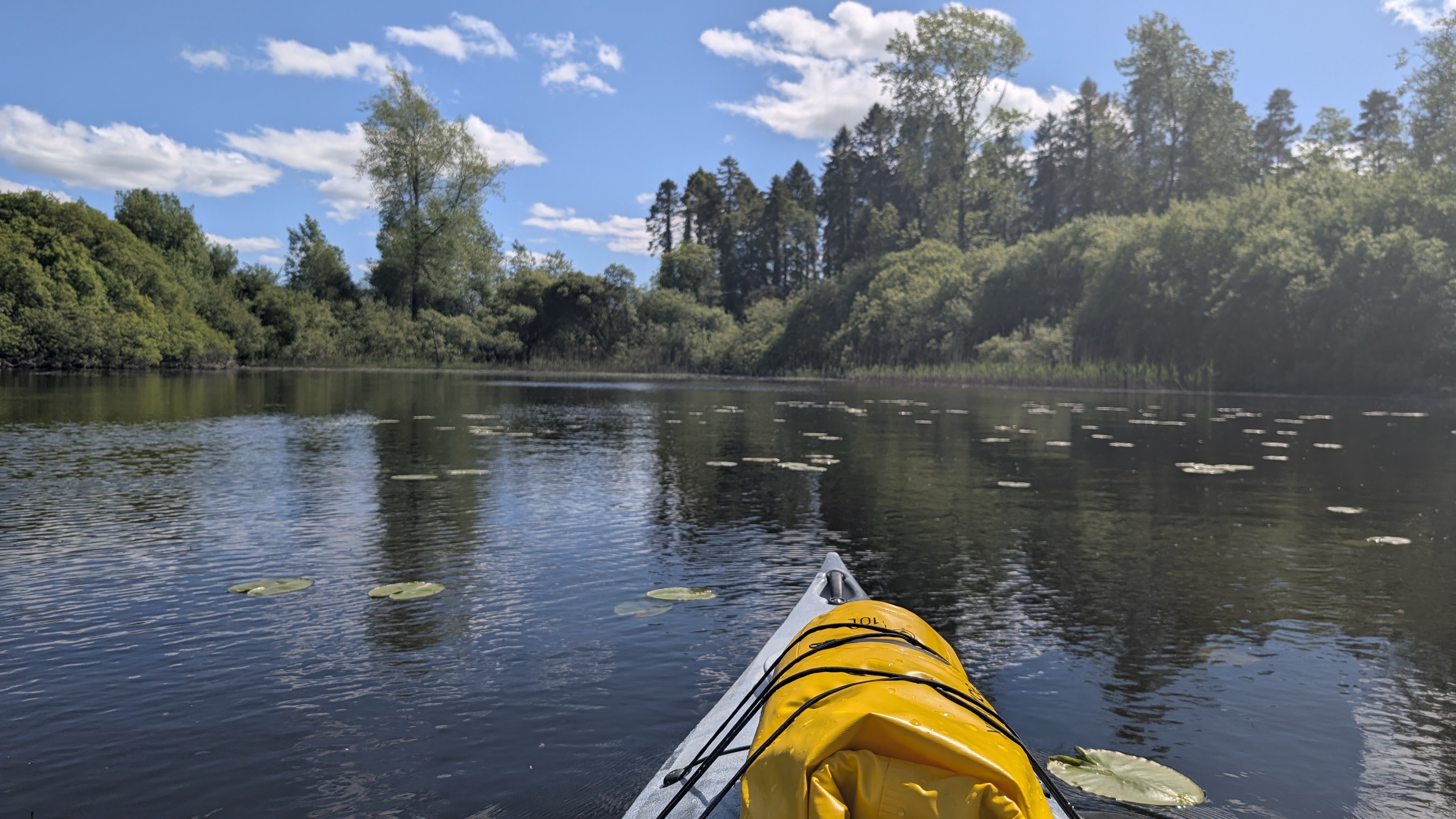 Photo from Lough Muckno